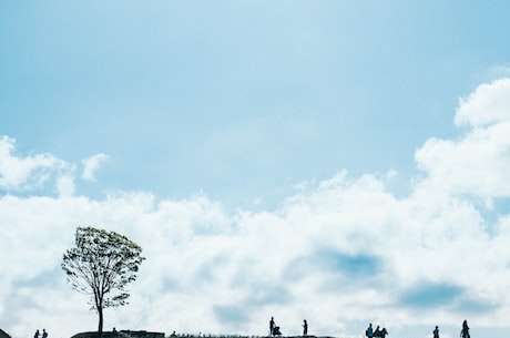 天台育青中学(天台育青中学：励志教育的摇篮)