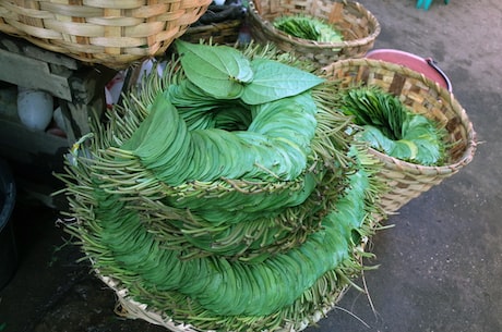 湄潭翠芽(湄潭翠芽：一个让人流连忘返的美丽地方)