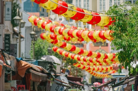 仙人掌旅馆 以仙人掌为创作灵感来源的作品还真不少