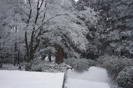 山西下雪(山西下雪了，交通变得非常拥堵)