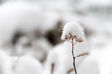 雪人骑士(雪人骑士：让你体验不一样的魔幻之旅)