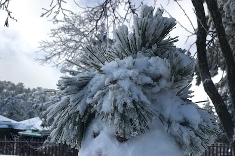 雪人骑士(雪人骑士：让你体验不一样的魔幻之旅)